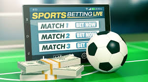 Explore the Exciting Features of 3333bet BD Explore the Exciting Features of 3333bet BD