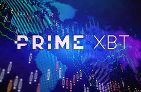 PrimeXBT Live Trading Guide Your Comprehensive Resource
